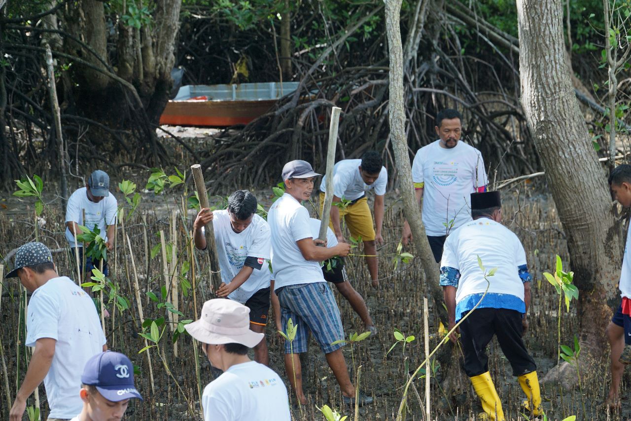 Dalam Rangka HLH, Sedunia PLN Batam Tanam Bibit Mangrove dan Pungut Sampah di Desa Wisata Kampung Terih