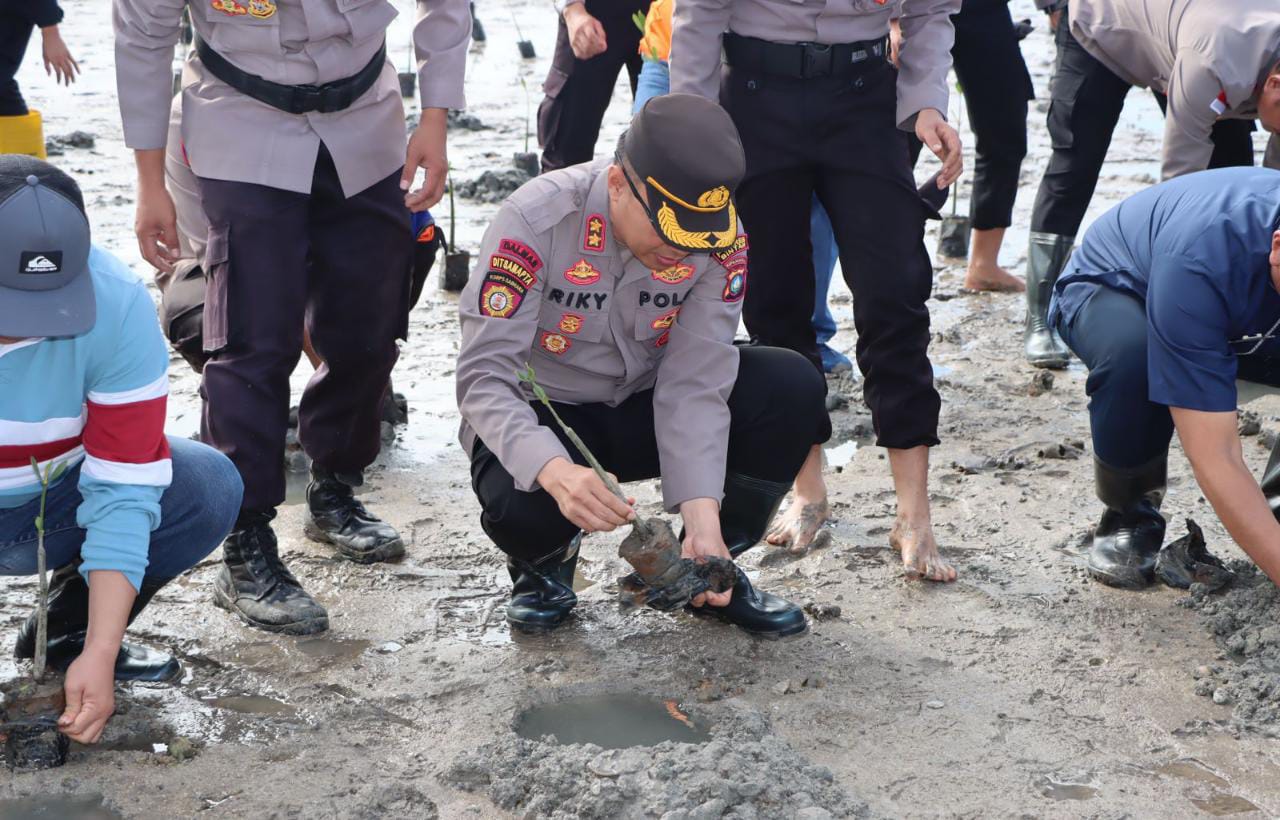 1000 Pohon Bibit Mangrove oleh Polres Bintan Dalam Rangka Hari Bhayangkara ke 77