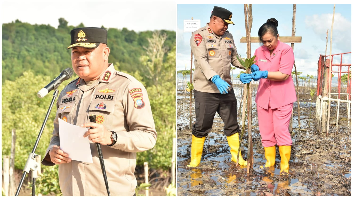 Kapolda Tabana Bangun Buka Kegiatan Penanaman Pohon Mangrove Dalam Rangka HUT Bhayangkara ke 77