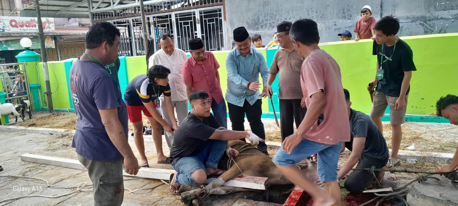 Rayakan Idul Adha 1444 H Sowa'a Laoli Berbagi Seekor Sapi Kurban di Mesjid Jami Ilir Gunungsitoli