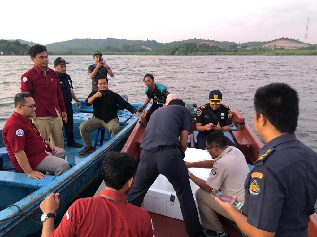 Empat Pelaku Sindikat Penyelundupan 5.500 Benih Lobster Ditangkap Polda Kepri