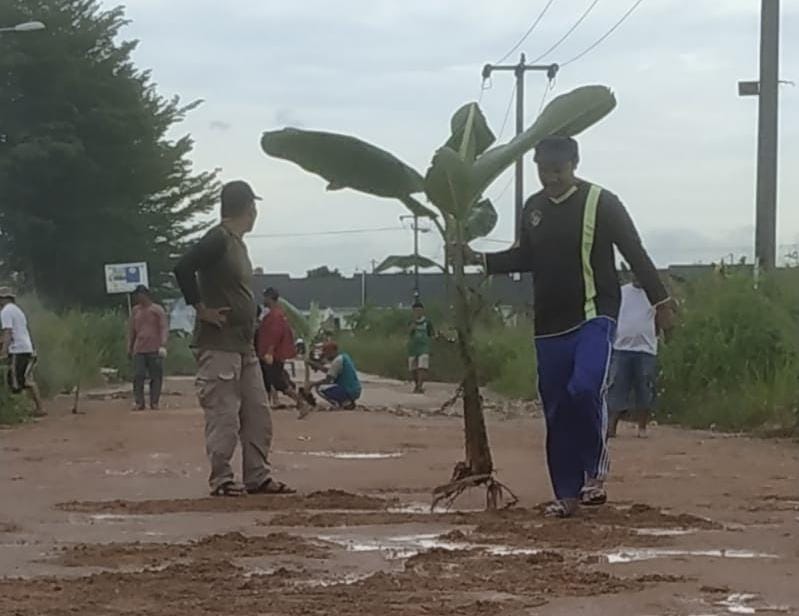 Sudah Lama Rusak Parah, Warga Tanam Pohon di Jalan sebagai Protes ke Pemerintah Kota Batam