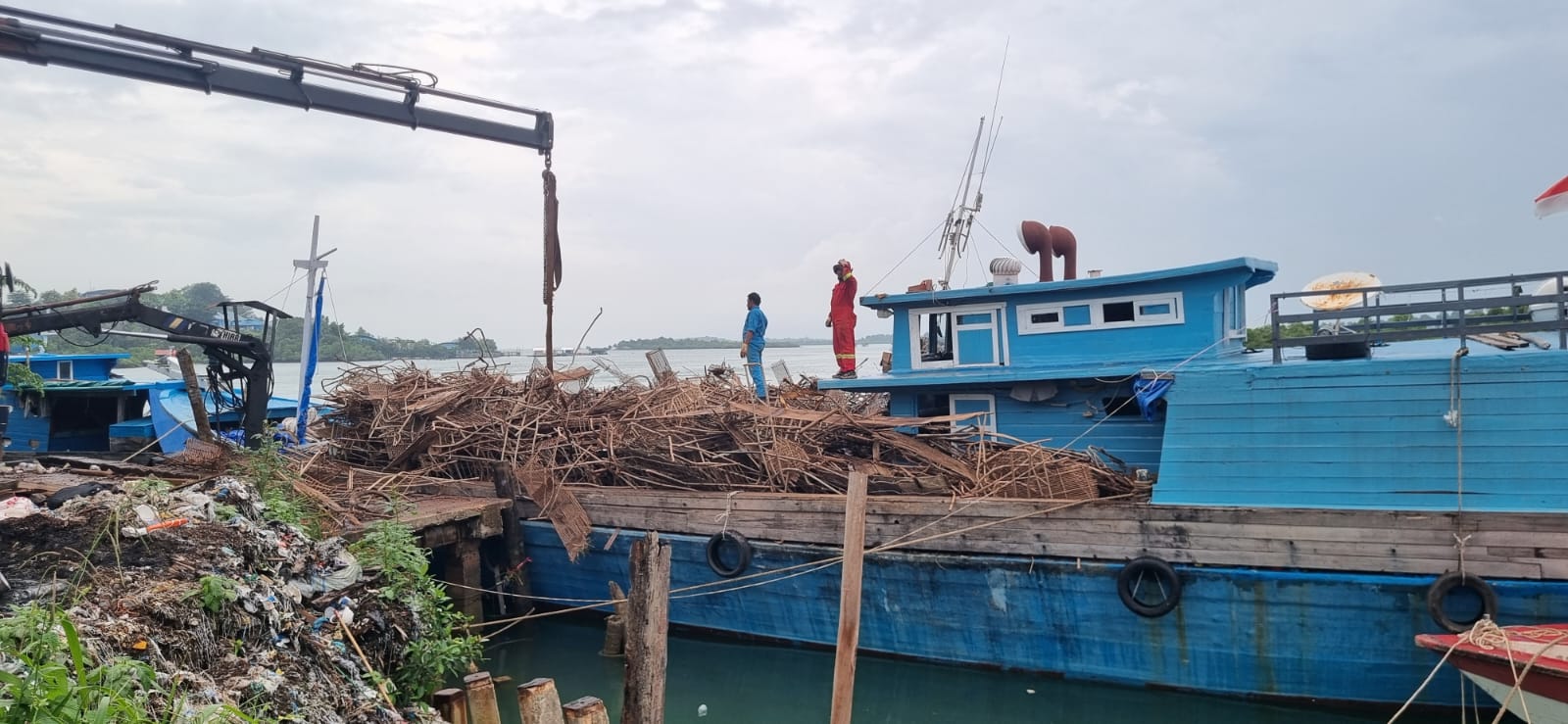 Terjangkit Virus ASF, Scrap Besi Peternakan Babi di Pulau Bulan Dibawa ke Kota Batam