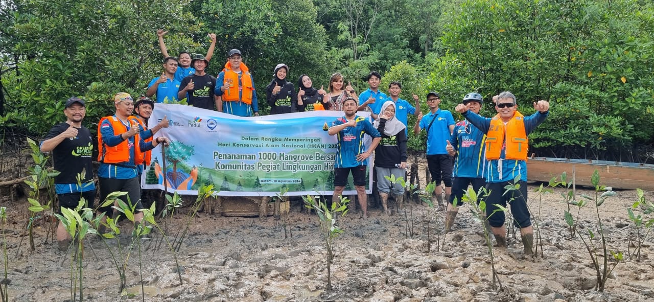 PLN Batam Tanam 1.000 Pohon Mangrove di Pantai Nongsa