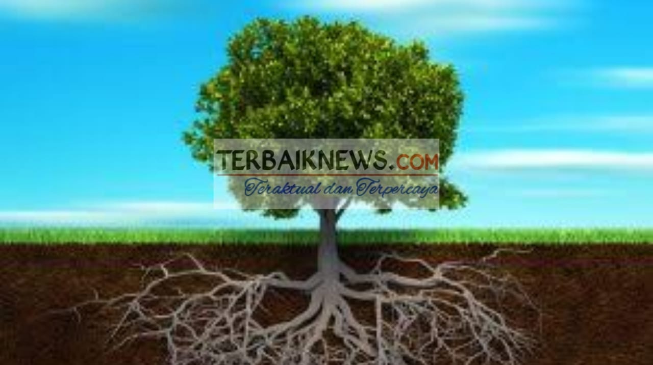 Miliki Akar Pengharapan yang Kuat
