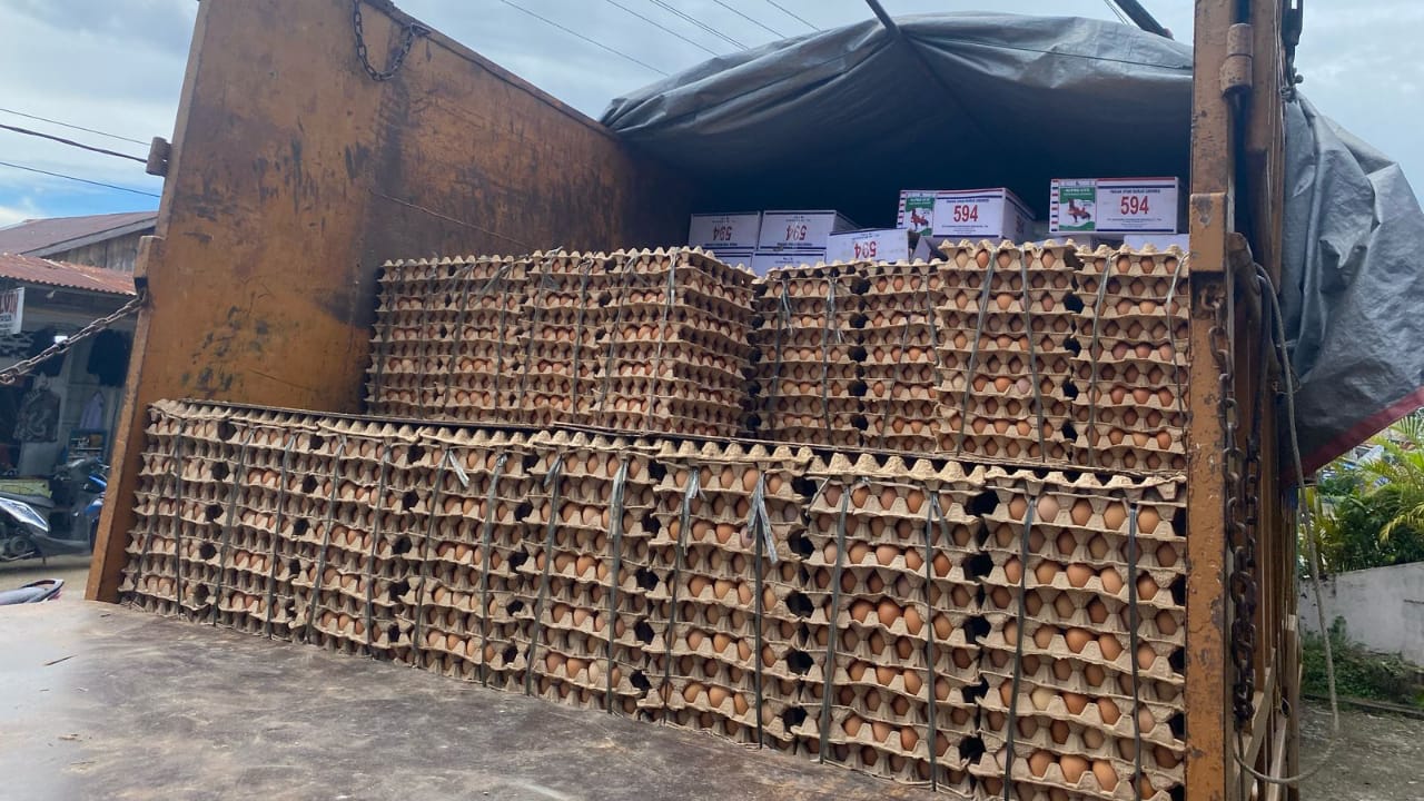 Satreskrim Polres Nias Amankan Mobil Pengangkut Telur Ayam Tanpa Dokumen Resmi