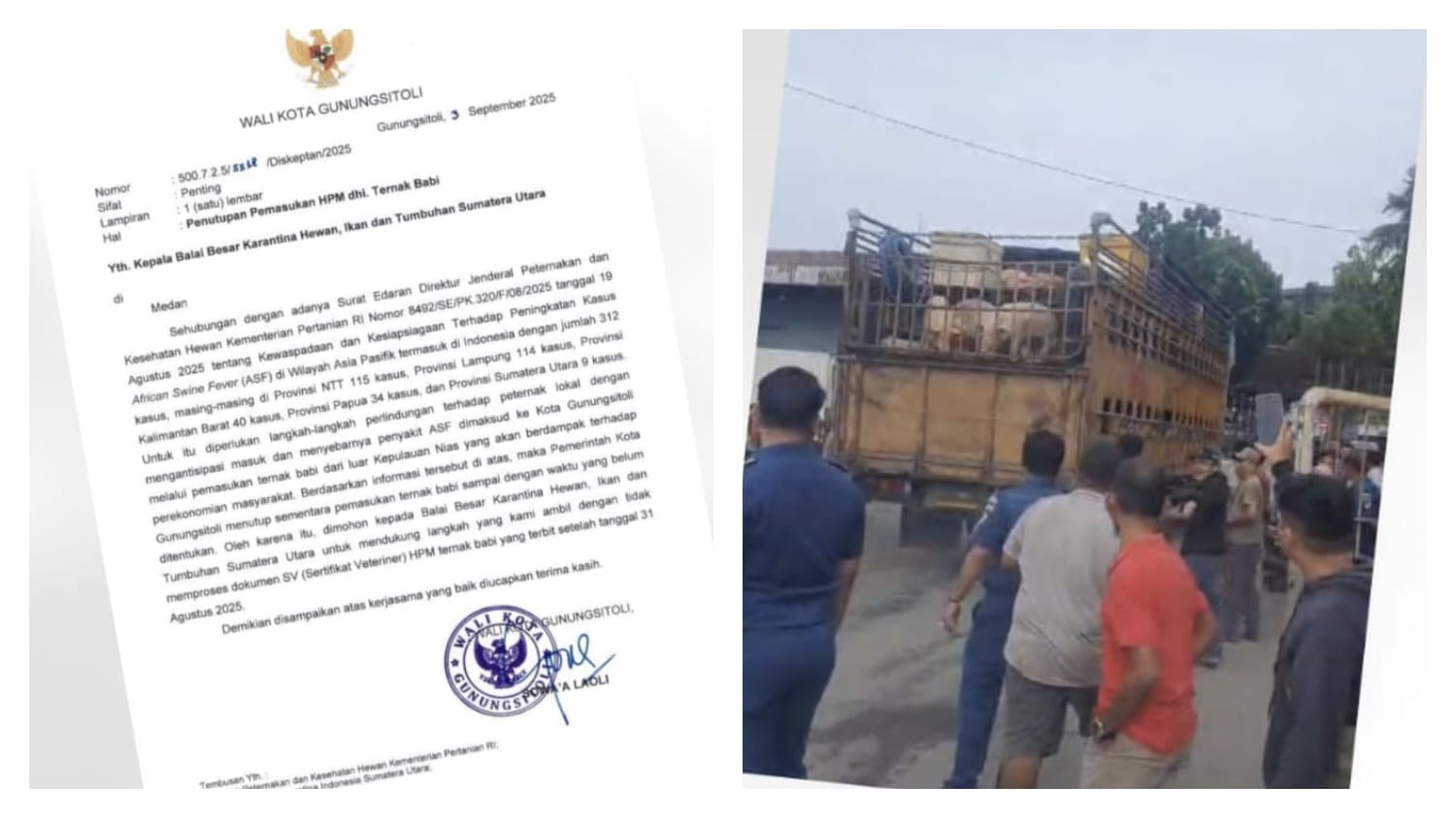 Truk Babi Terindikasi Ilegal Masuk Nias: Larangan ASF Dilanggar, Masyarakat Dorong Proses Hukum Cepat
