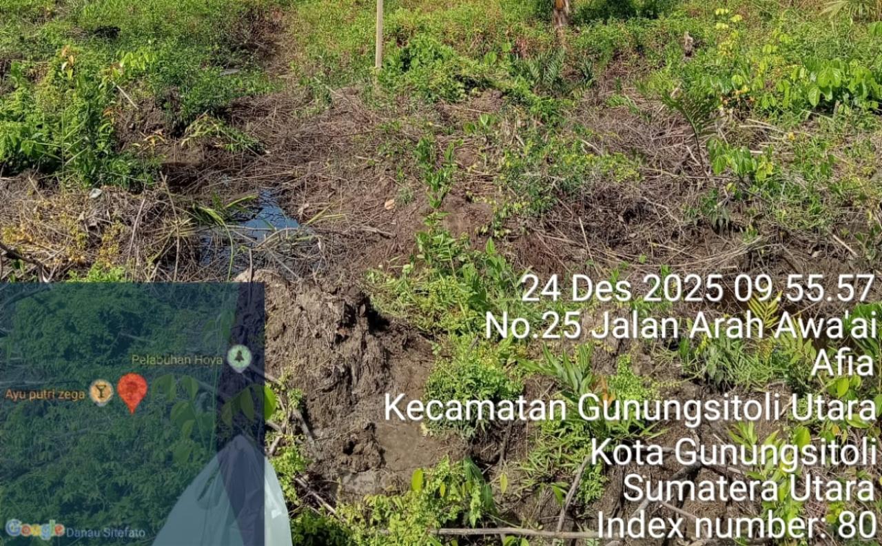 Pemilik Lahan Bantah Dugaan Perusakan Mangrove di Teluk Belukar Kota Gunungsitoli